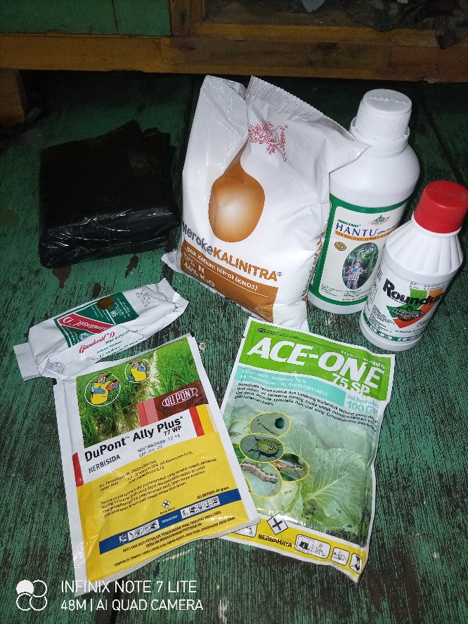 Round Up 486 Sl Isi 200 Ml Herbisida Pembasmi Rumput Racun Rumput Ilalang Sistemik