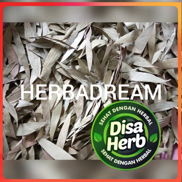 

DAUN KAYU PUTIH KERING 50 GRAM - Melaleuca Leucadendra - MURNI - JSR - REMPAH