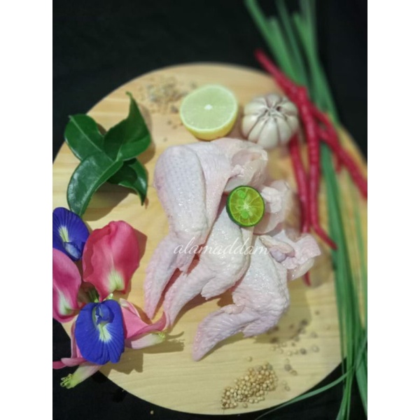 

1kg sayap ayam