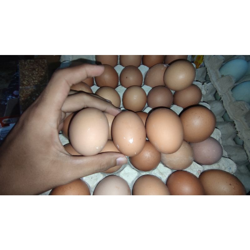 

telur ayam fresh / KG (kurang lebihnya isi 15-17butir)