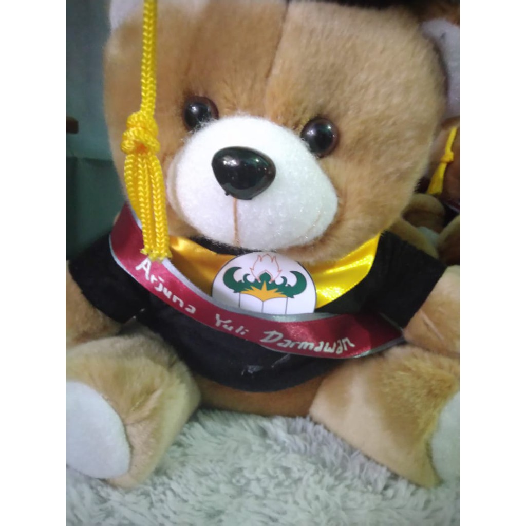 Boneka Wisuda Medium | Free Plastik Kemasan