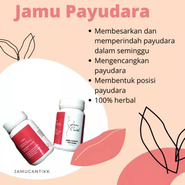 JAMU MONTOK PAYUDARA