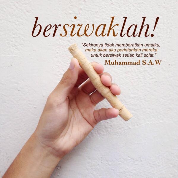 Siwak Al Fazal Kecil 1 Box isi 12 - Miswak