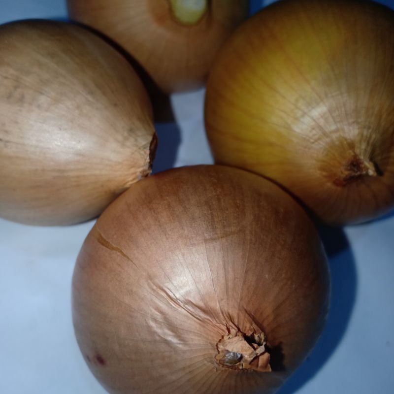 

Bawang Bombai 250 gr