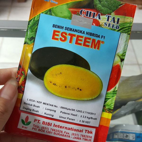 

Benih semangka esteem F1 20 gram