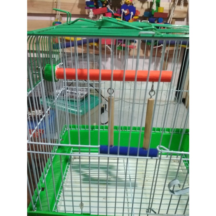 Tangkringan Parrot/Tenggeran Jepit/Parrot Perch/Tangkringan