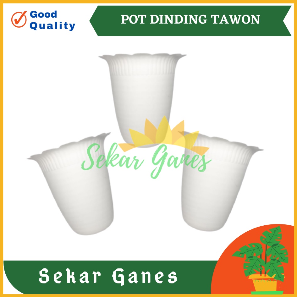 POT DINDING PUTIH 15 CM NEW TAWON DINDING TEMPEL 15Cm POT BUNGA PUTIH | OMBAK  Dinding Kerang MURAH