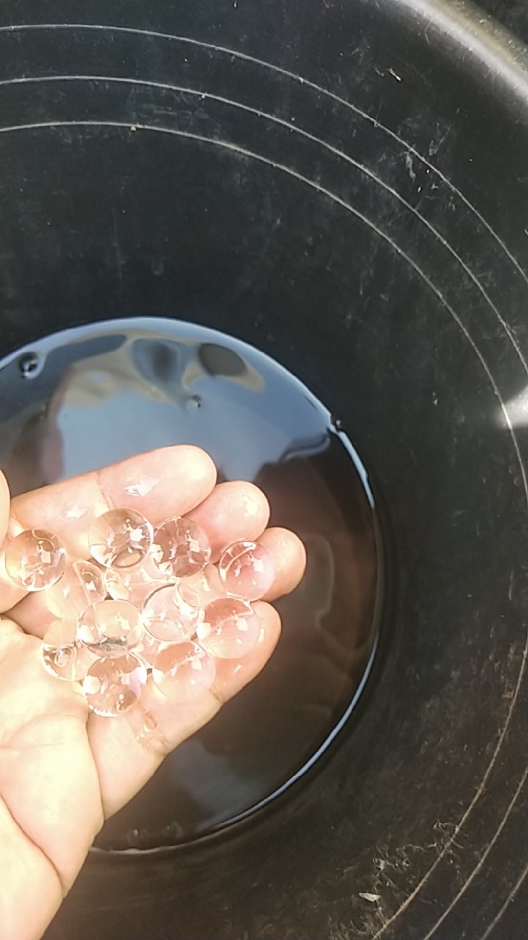 Media Tanam Hydrogel Pengganti Tanah Dan Cantik Untuk Indoor