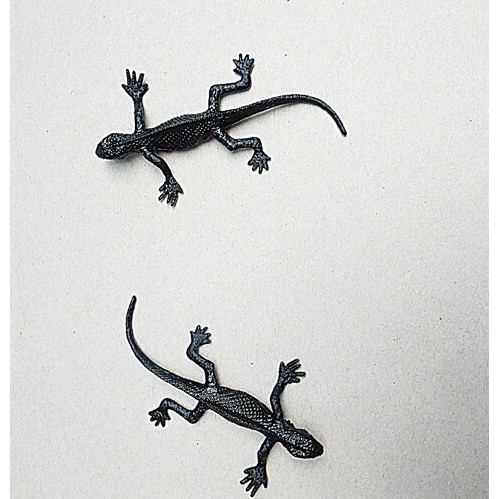 Animal cicak karet mainan anak figure hewan