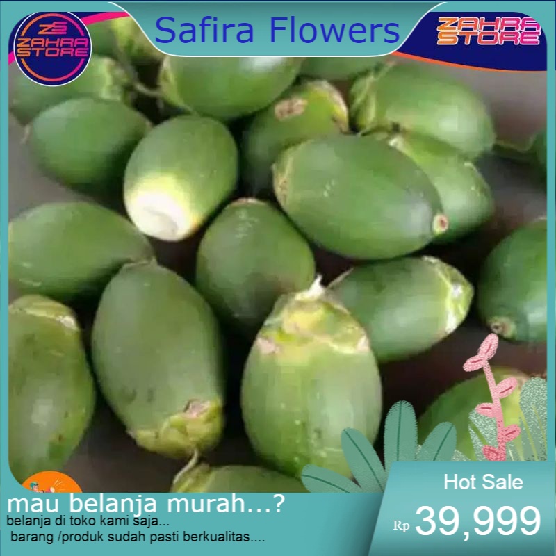 

buah pinang muda segar/Buah pinang obat herbal isi 1 kg