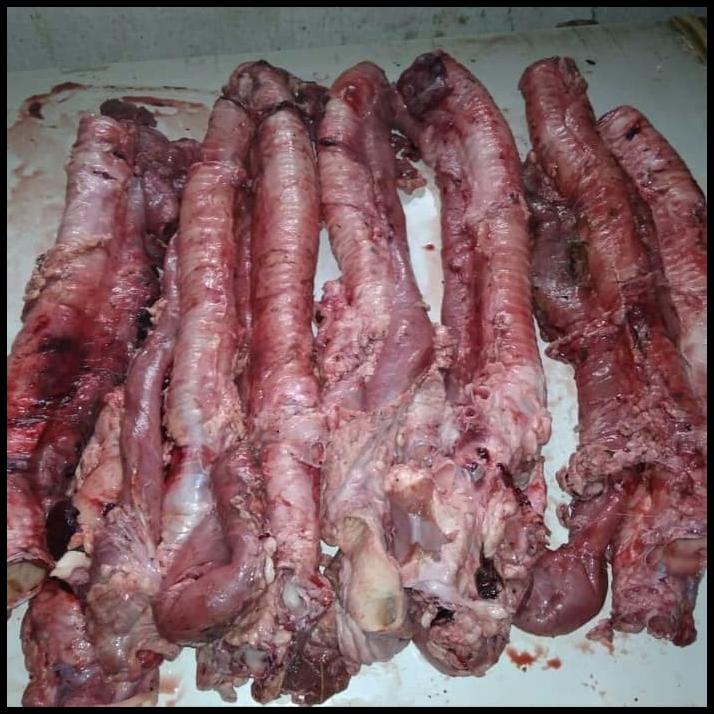 

Tenggorokan/Kerongkongan Sapi