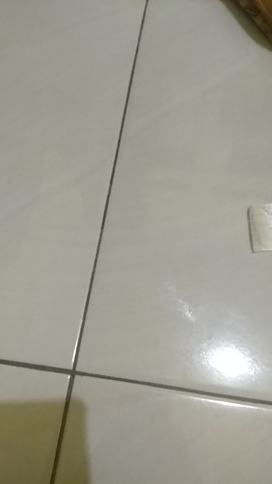 Botol Semprotan Transparan