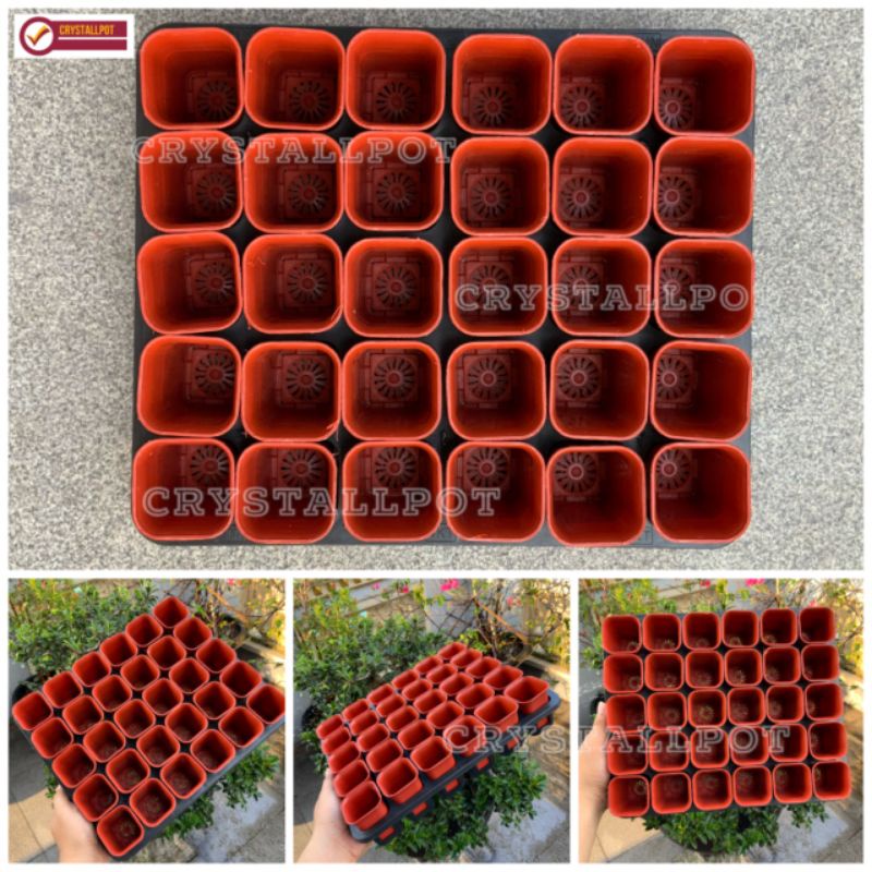 1 SET TRAY LUBANG 30 + POT NKT KOTAK 5CM MERAH BATA 30 PCS | TRAY SEMAI BIBIT