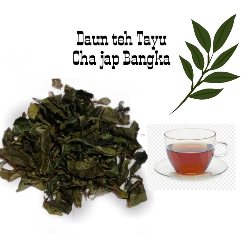 

Teh Hijau Premium Cha Jap Green tea TehTayu Termurah