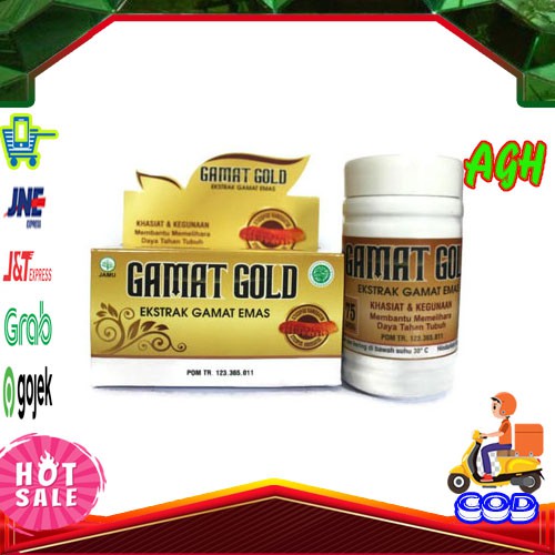 Kapsul gamat emas gamat gold