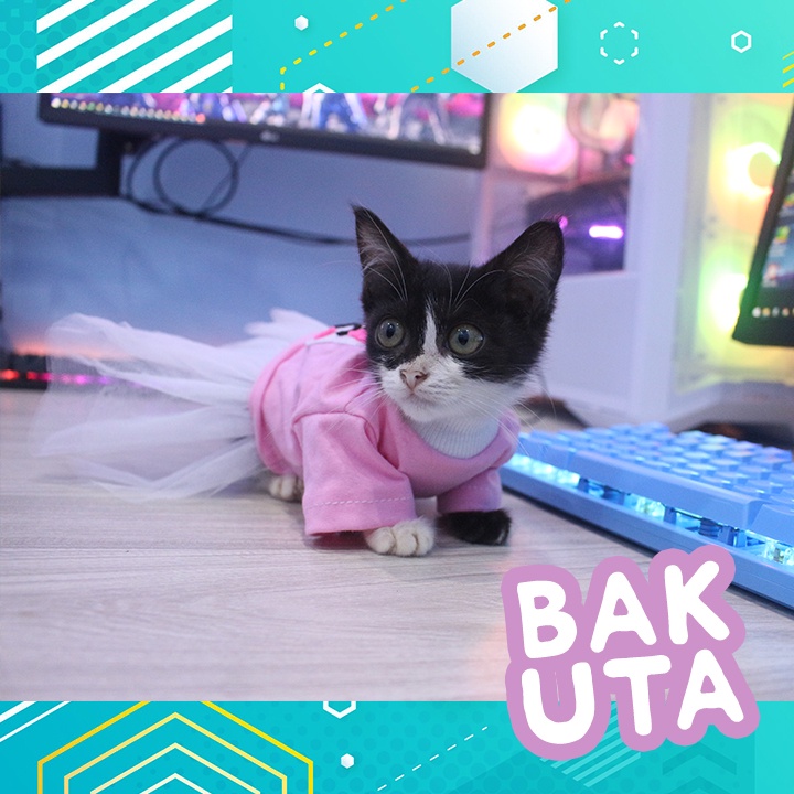 Dress tutu kelinci pink terbaru baju kucing dan anjing / baju kucing murah size S-XL