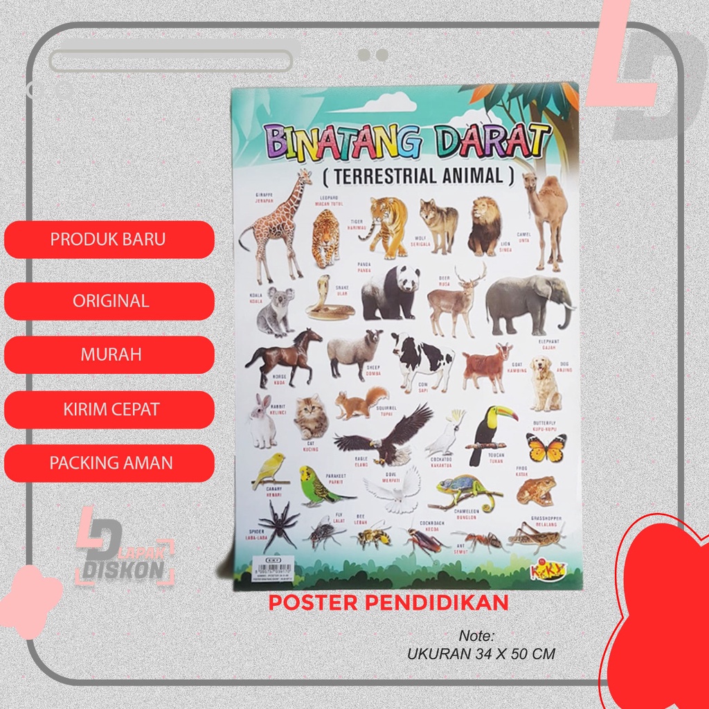 

Poster Edukasi Mengenal Binatang Darat
