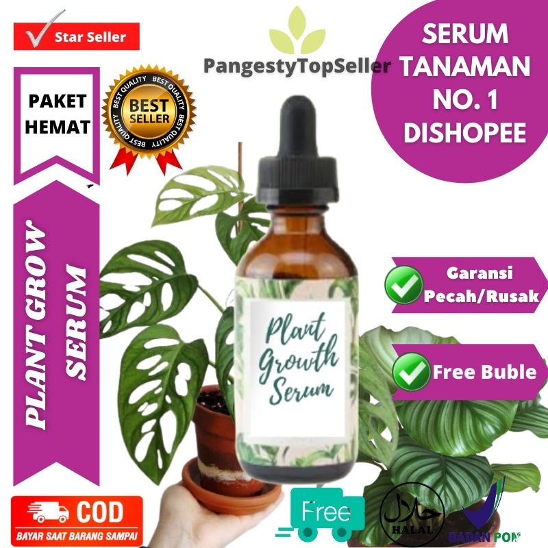 Pupuk Tanaman Hias lebih ampuh dari albero aglonema organik leafshine workplant growth booster