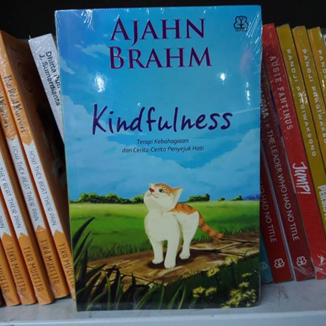 KINDFULNESS - AJAHN BRAHM
