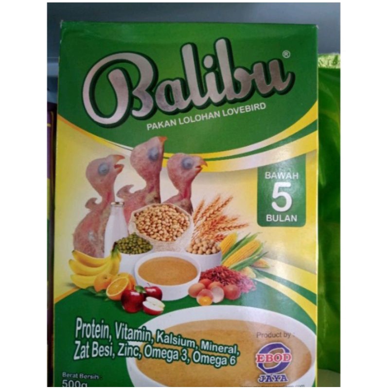 BALIBU BUBUR LOLOHAN LOVEBIRD KENARI FALK MURAI
