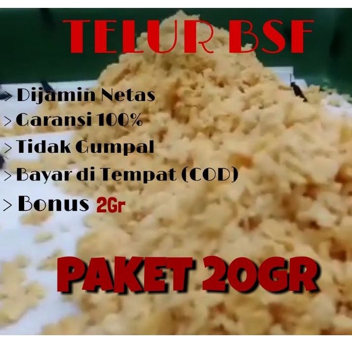 

paket telor bsf 20grm fresh