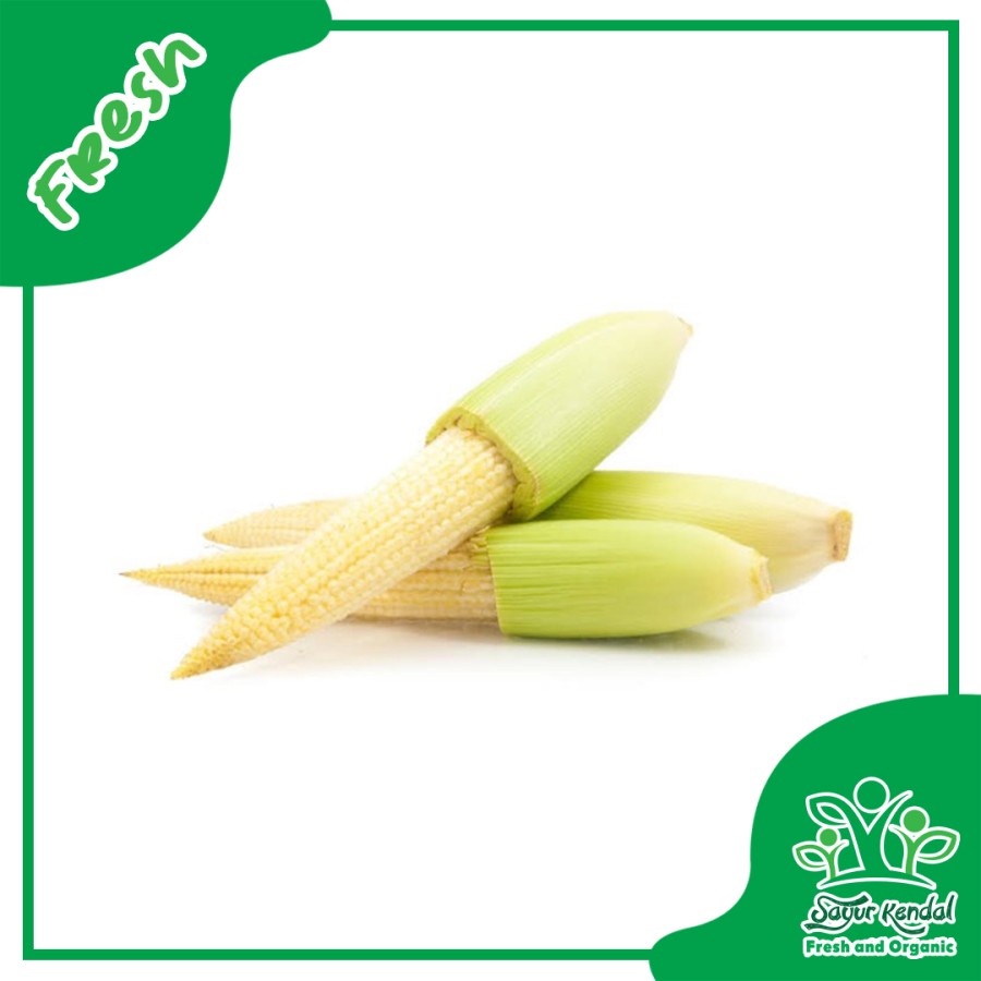 

Jagung Putren Buah Kualitas Premium - SayurKendal