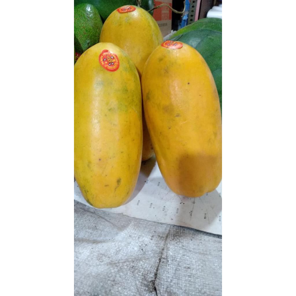 

pepaya California manis kualitas bagus
