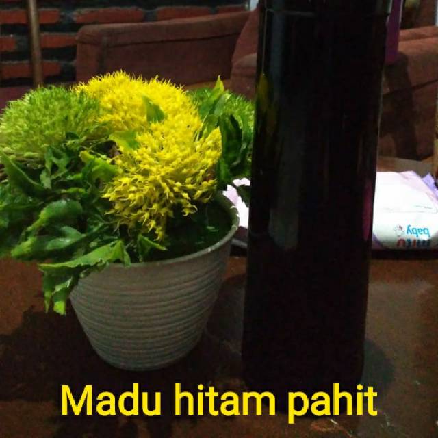 

Madu hitam pahit
