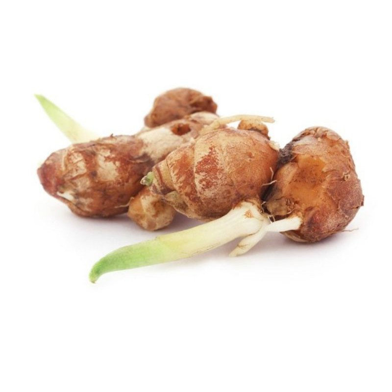 

KENCUR REMPAH SEHAT ALAMI / ZEDOARY FRESH / GALANGAL / 250 GRAM