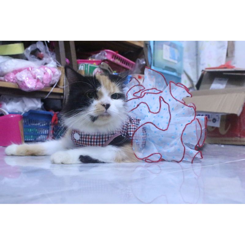 Dress tutu princess #364 lucu untuk kucing dan anjing / baju kucing murah size S M L XL