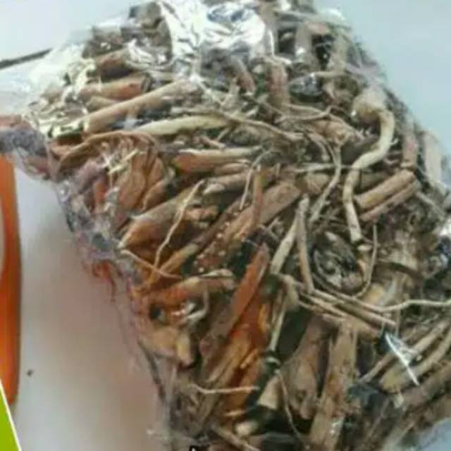 

Akar pinang kering original 100 gram
