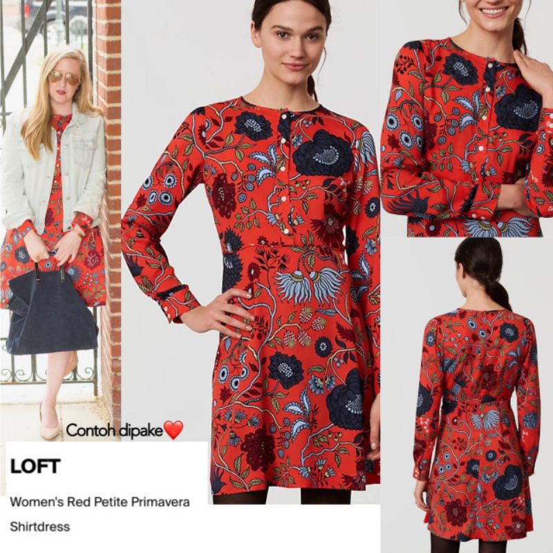 Lft primavera shirt dress