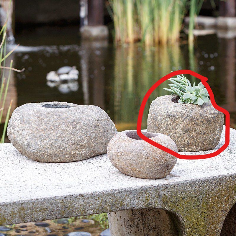 ((SEDANG)) POT BUNGA KAKTUS SUKULEN BATU KALI ALAMI POT BATU SUNGAI MINI POT MARMER