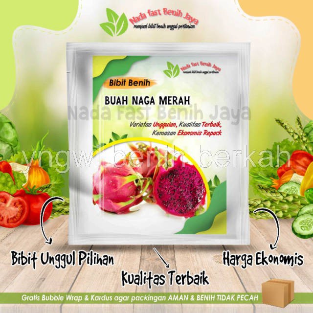 Benih buah Naga super - bibit benih buah Naga merah unggulan