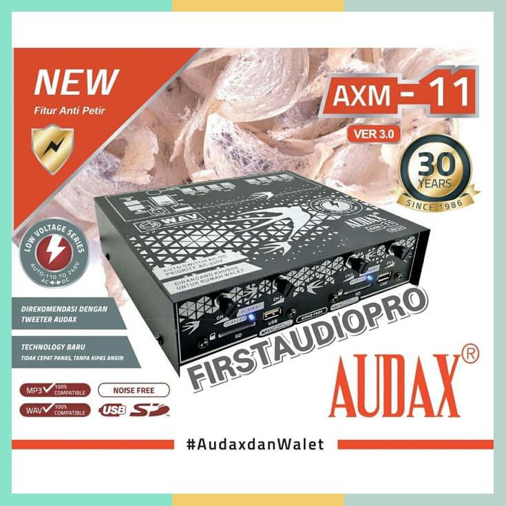 Ampli Walet Audax Axm11 / Axm 11 4Ch