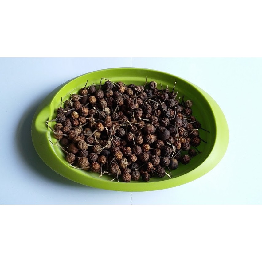 Simplisia Buah Cepokak Kering Best Quality 1 Kg