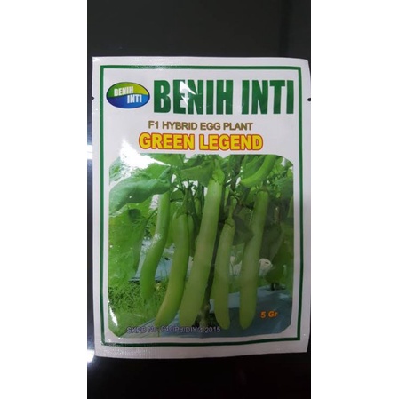 

terong hijau
