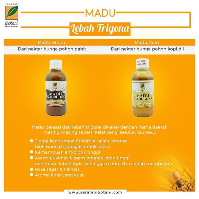 

Ready - Madu Nutrigona Black