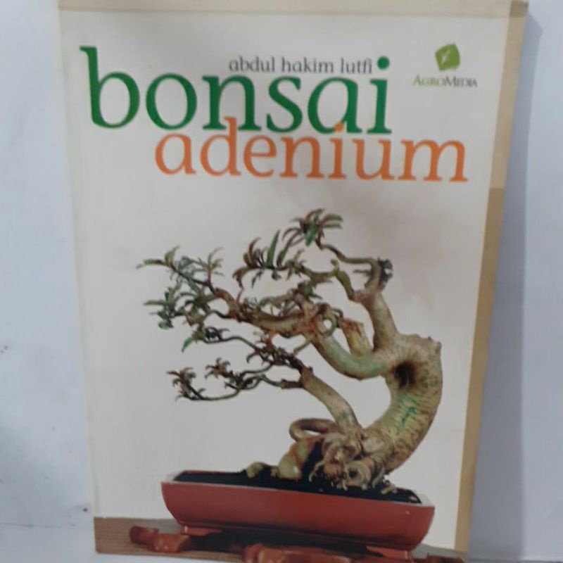 Seni Bonsai Adenium orig