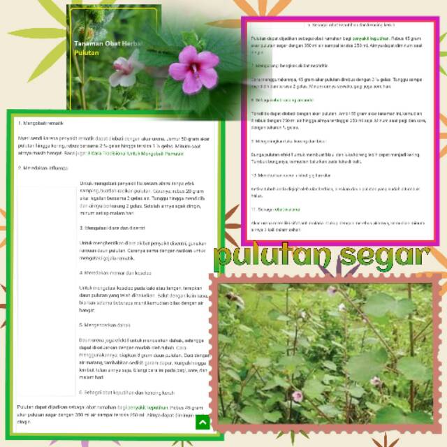 

Pulutan segar