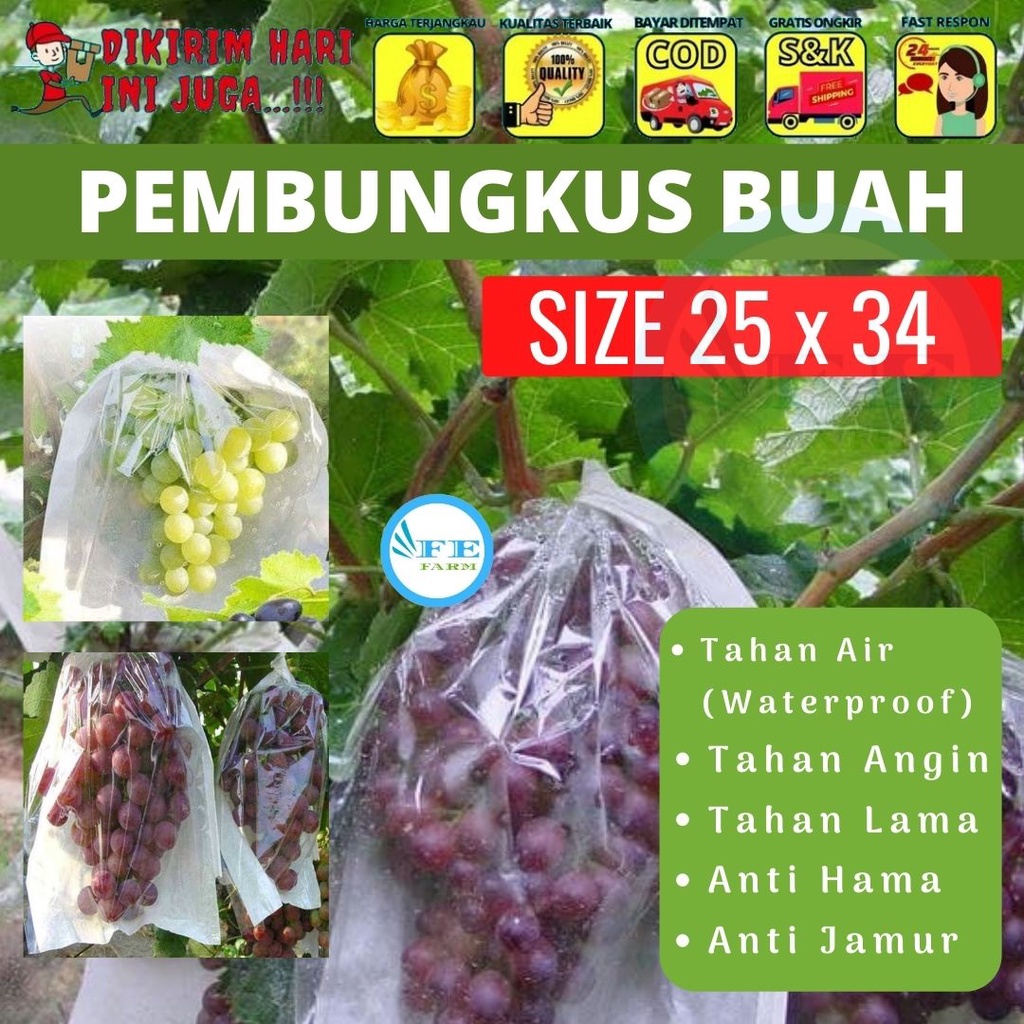 Pembungkus Buah 25 x 34 Tembus Pandang Fruit Cover Anggur Transparan Waterproof Brongsong Klengkeng FEFARM