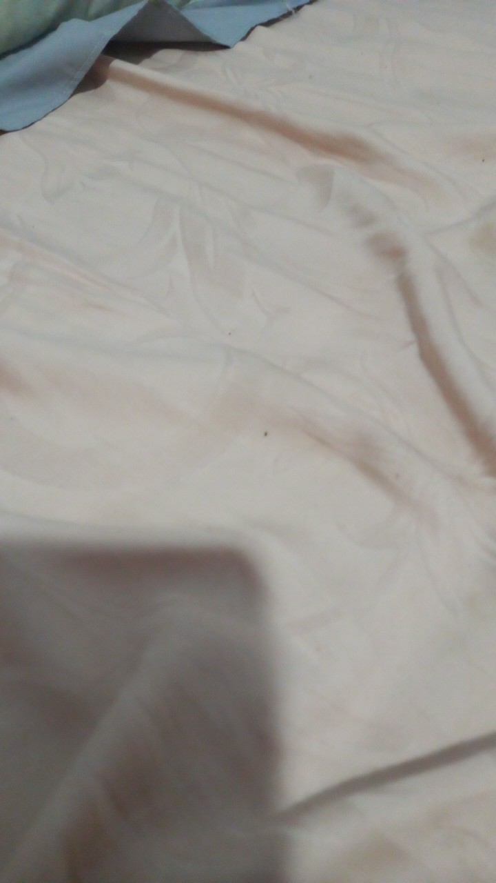 Hanger Dewasa 282 Warna Hitam / Hanger Dewasa Plastik  Warna Hitam 282