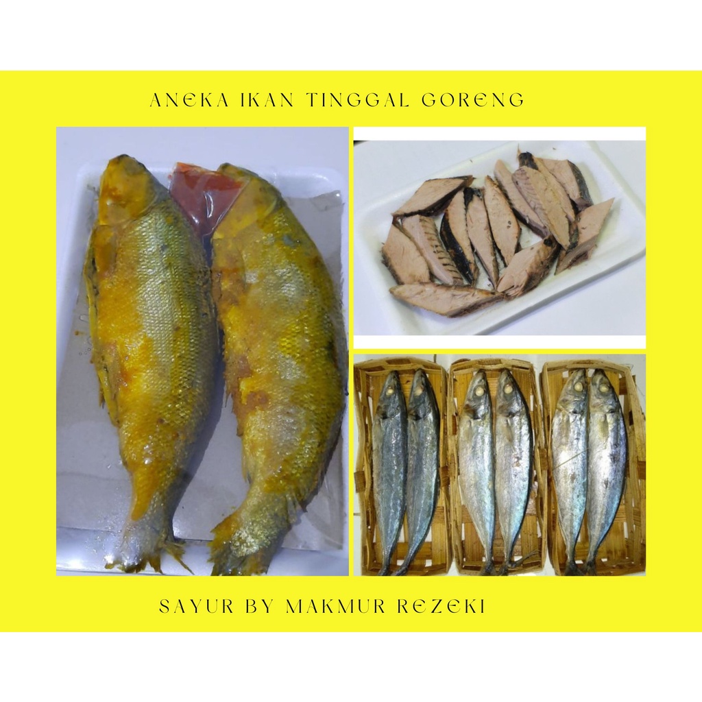 Jual Ikan Bandeng Presto Ikan Cue Keranjang Pindang Ikan Tongkol Potong Shopee Indonesia 3487