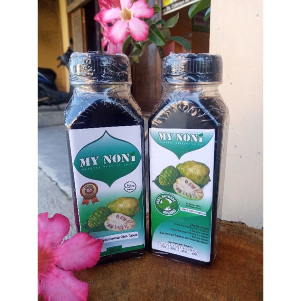 

My Noni Fermentasi Mengkudu