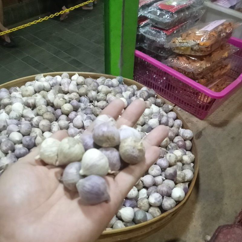 

Bawang Lanang Tunggal