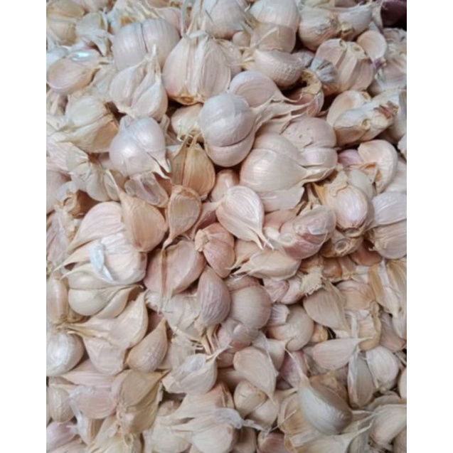 

Bawang Kating Premium 1Kg