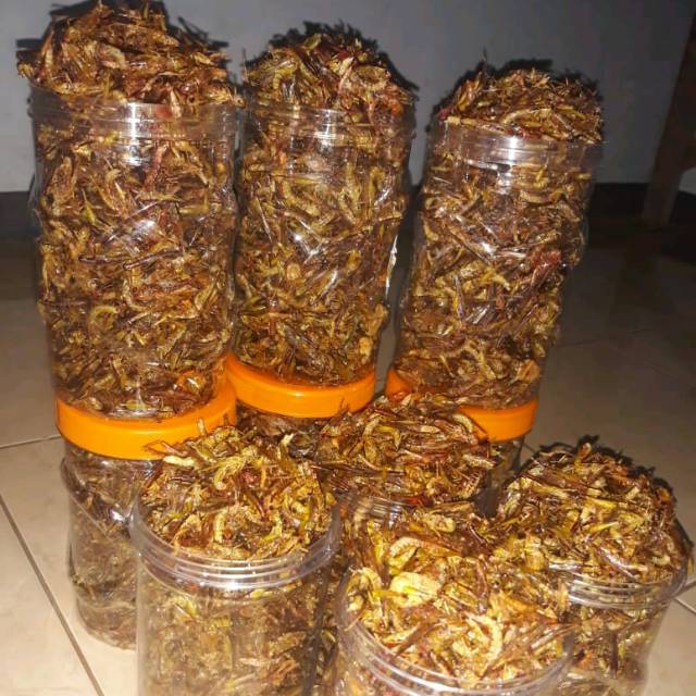 

Belalang goreng