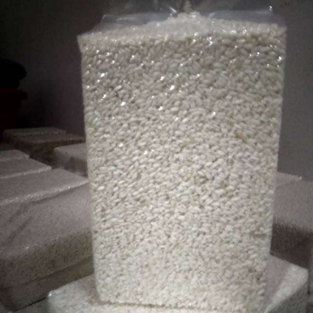 

Mentik susu