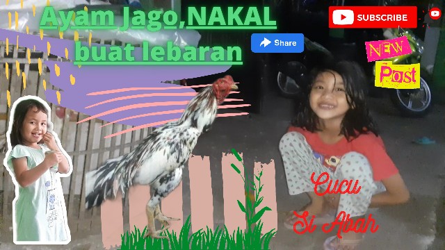 Roda Pagar Besi Cor Super 6 7 8cm Roda Pintu Gerbang Rumah