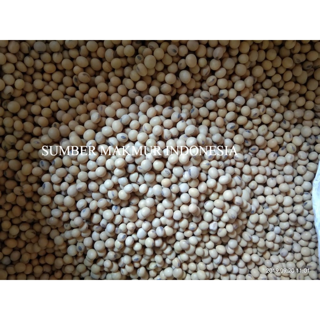 KACANG KEDELE MENTAH 250 GRAM- ECERAN